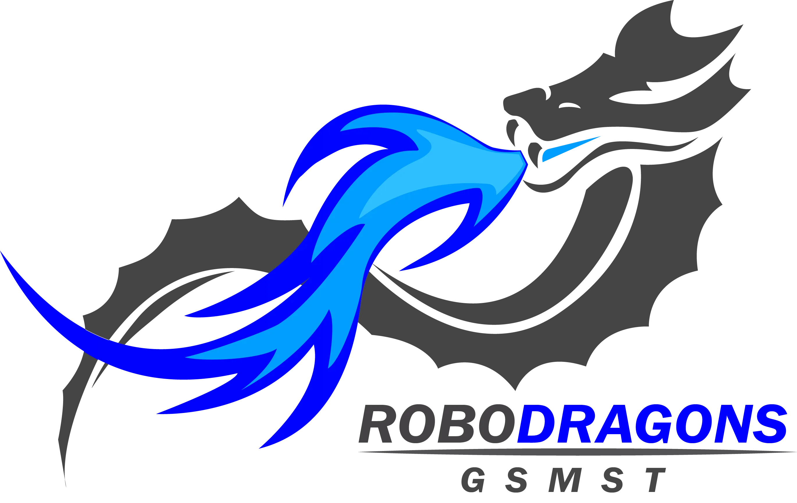 RoboDragons 2024