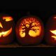 carved pumpkins jack o lanterns